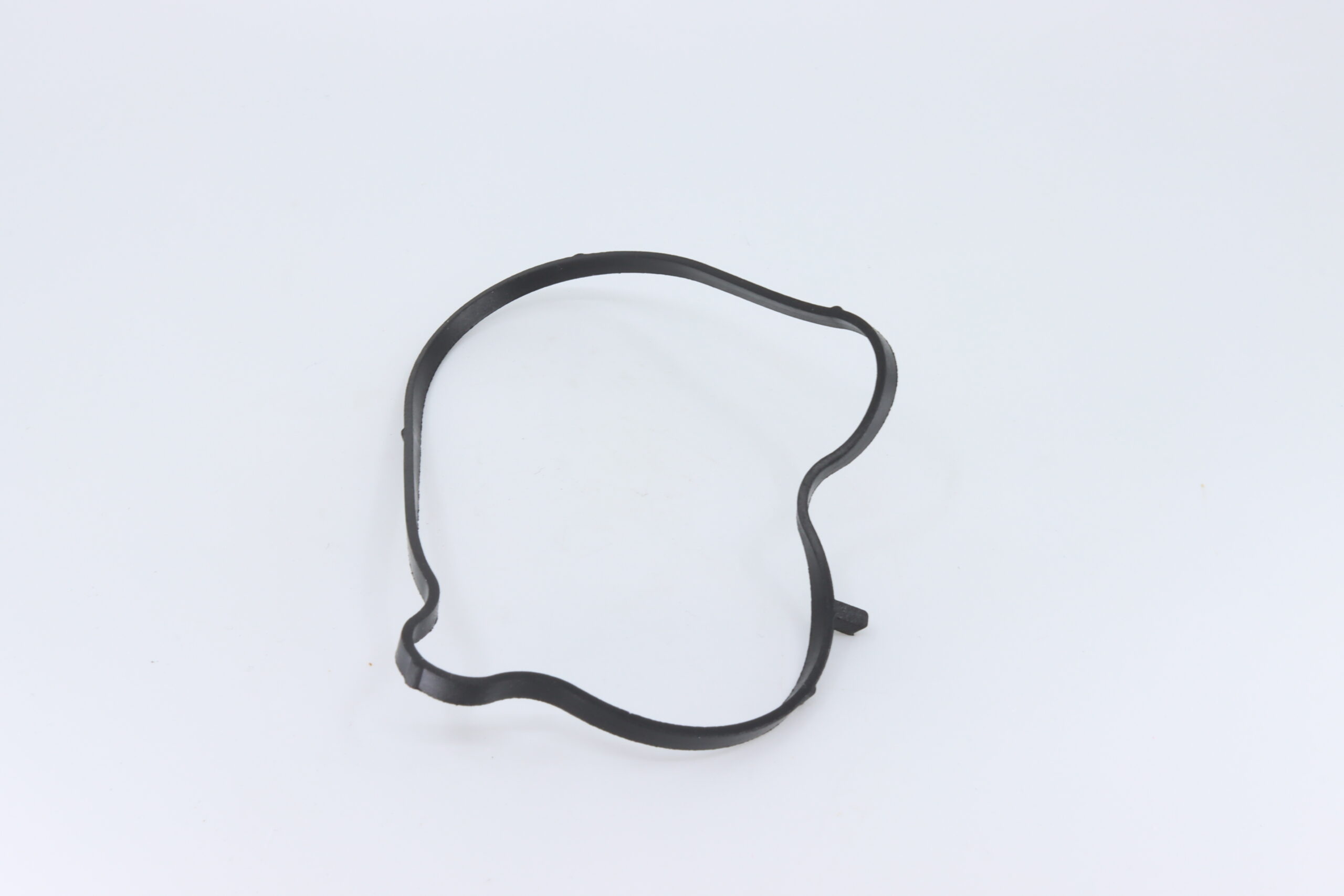 IMG_3609_0JWA-080004-scaled